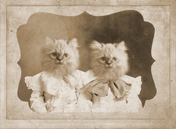 Design Photoshop par momobbf pour DesignCrowd (Community Contests) | Design #9074703