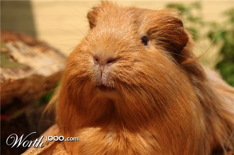 Photography by anviss