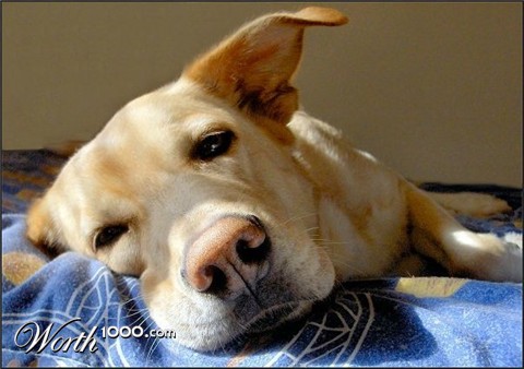 Photography by razzberry