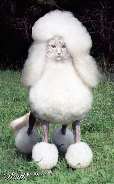 Photoshop Design by ariel9