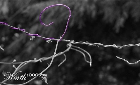 Photography by mennufer