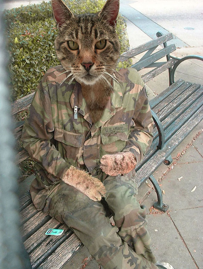 Photoshop Design by graphictraffic for DesignCrowd (Community Contests) | Design #9074767