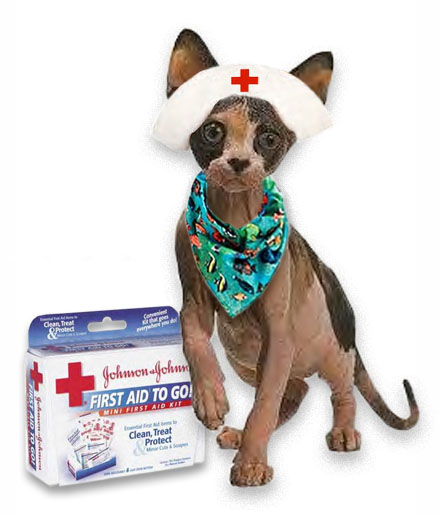 Photoshop Design by ArtDino for DesignCrowd (Community Contests) | Design #9074776