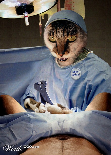 Photoshop Design by bpkelsey