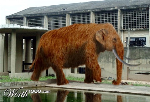 Photoshop Design by m0nkfish