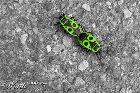 Photography by Samogitan