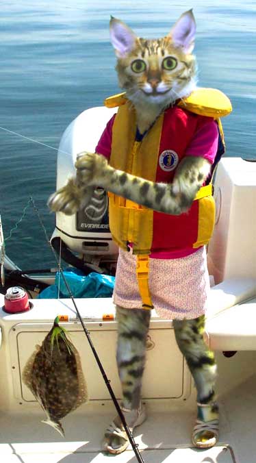 Photoshop Design by LesKellert for DesignCrowd (Community Contests) | Design #9074736