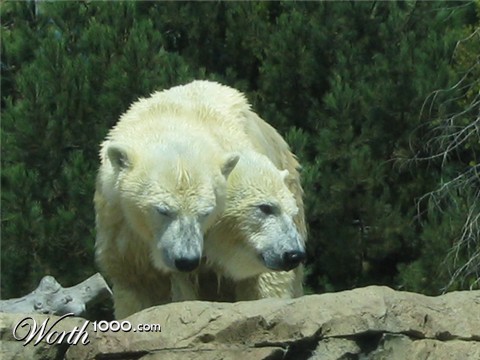 Photoshop Design by adribejarano