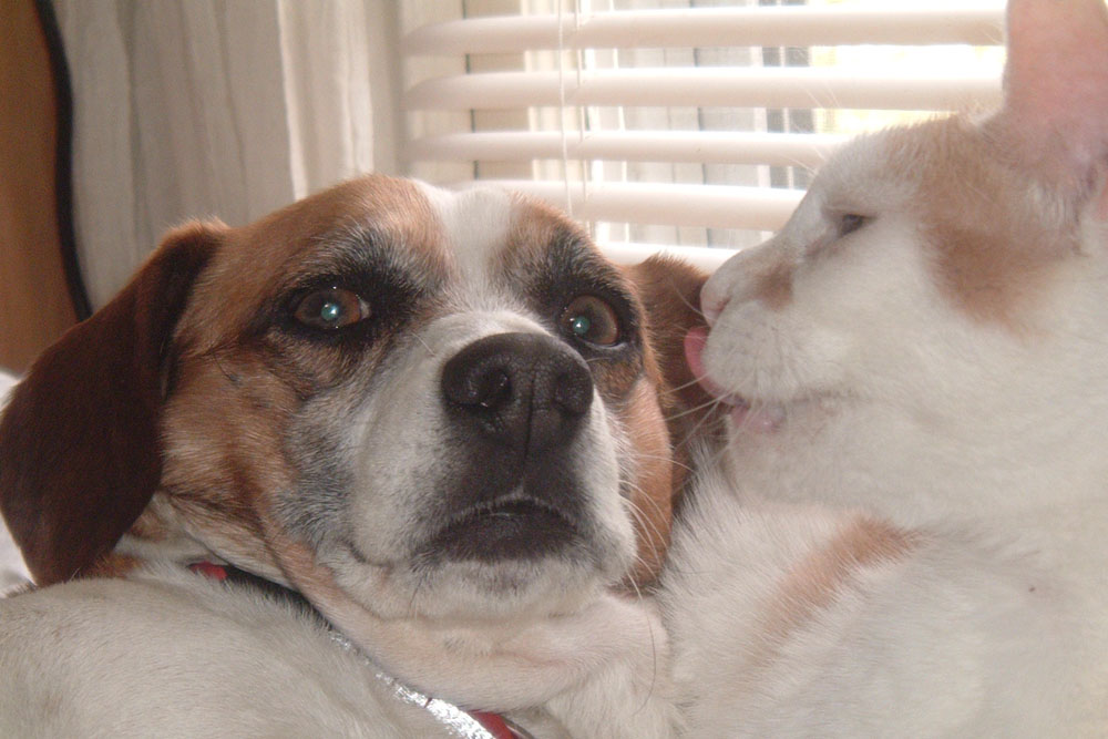 Fotografie von RickF413 für DesignCrowd (Community Contests) | Design #9080878