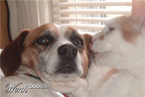 Photography by RickF413