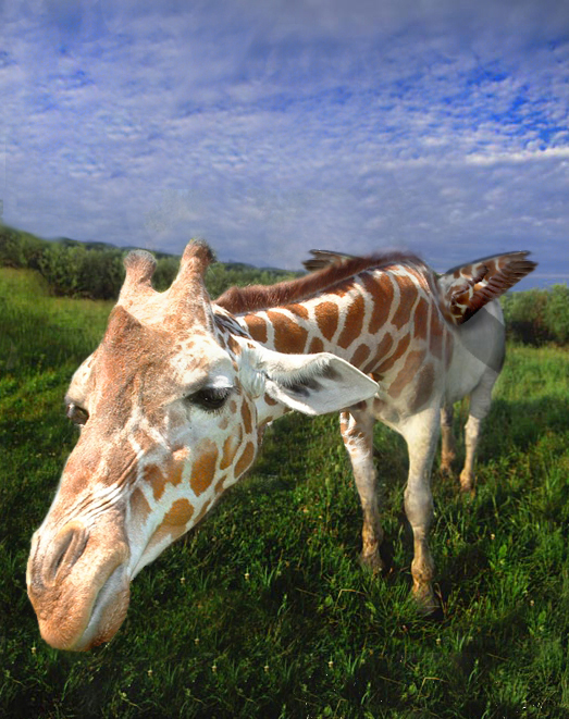 Design Photoshop par solocosmo pour DesignCrowd (Community Contests) | Design #9077606