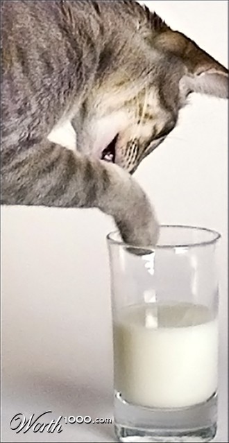 Photography by ewall53