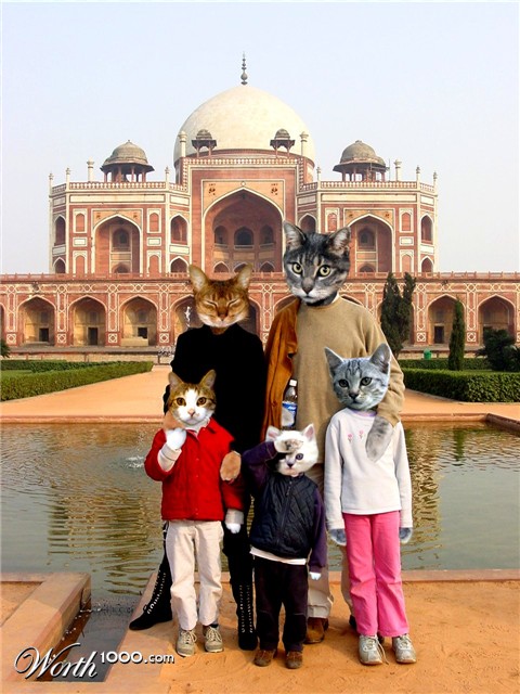 Photoshop Design by ciccioculo