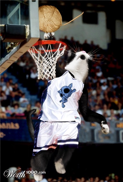 Photoshop Design by enembee