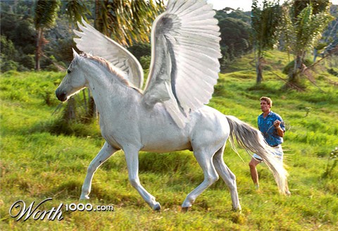 Photoshop Design by ScottNoe