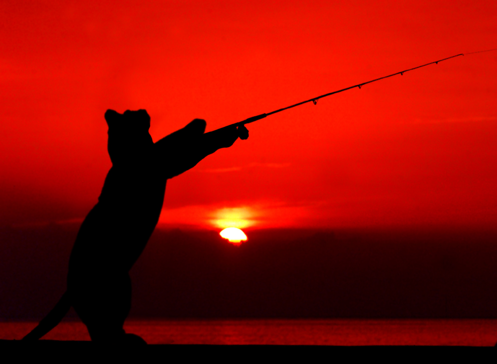 Photoshop Design by andres0076 for DesignCrowd (Community Contests) | Design #9074785