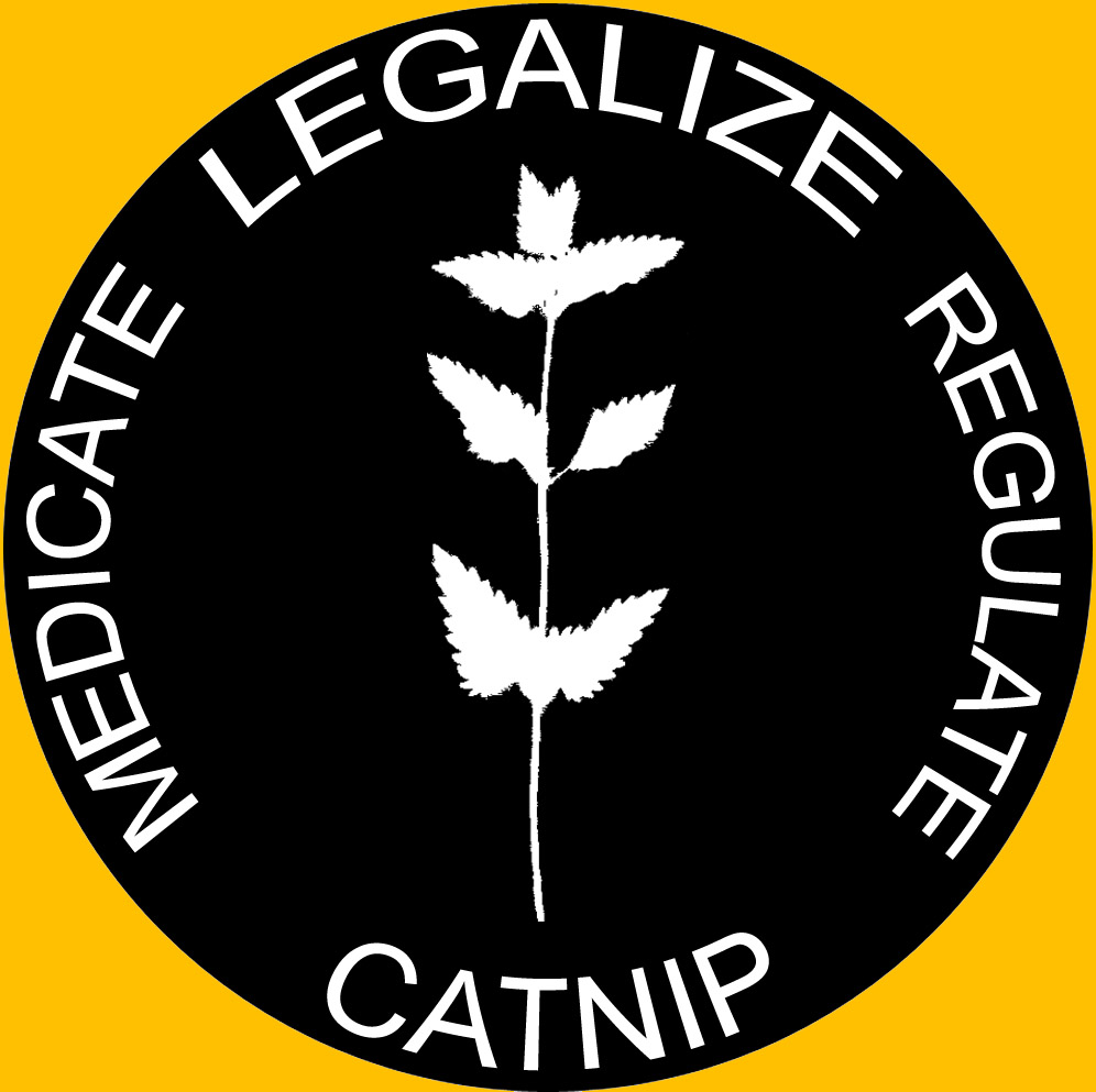 Photoshop Design by lalaland437 for DesignCrowd (Community Contests) | Design #9074765