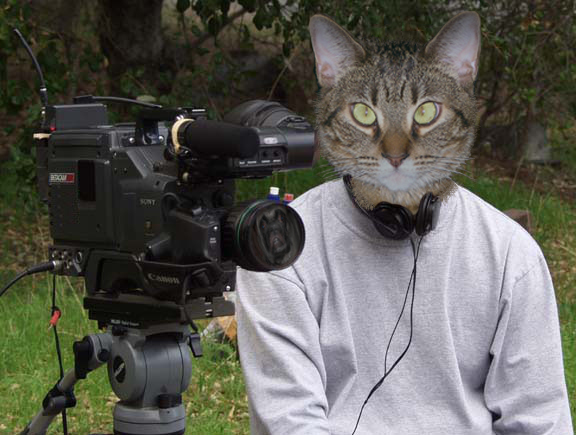 Photoshop Design by jodyberry for DesignCrowd (Community Contests) | Design #9074780