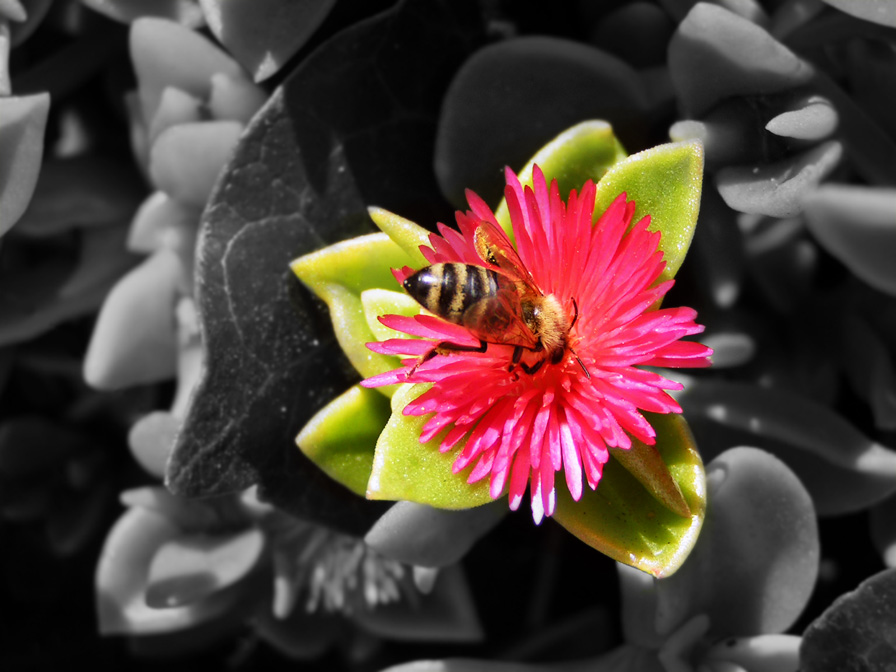 Photographie par jasoned pour DesignCrowd (Community Contests) | Design #9073408