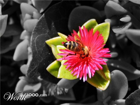 Photography by jasoned