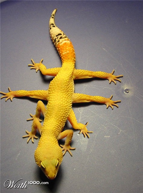 Photoshop Design by bruceleroy