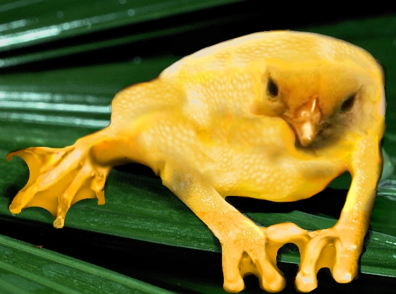 Design Photoshop par 2zRescue pour DesignCrowd (Community Contests) | Design #9077678