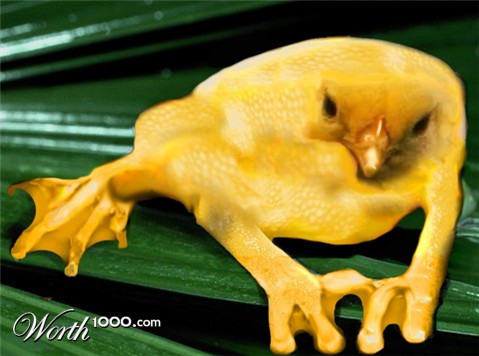 Photoshop Design by 2zRescue