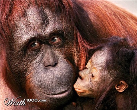 Photoshop Design by ozplasmic