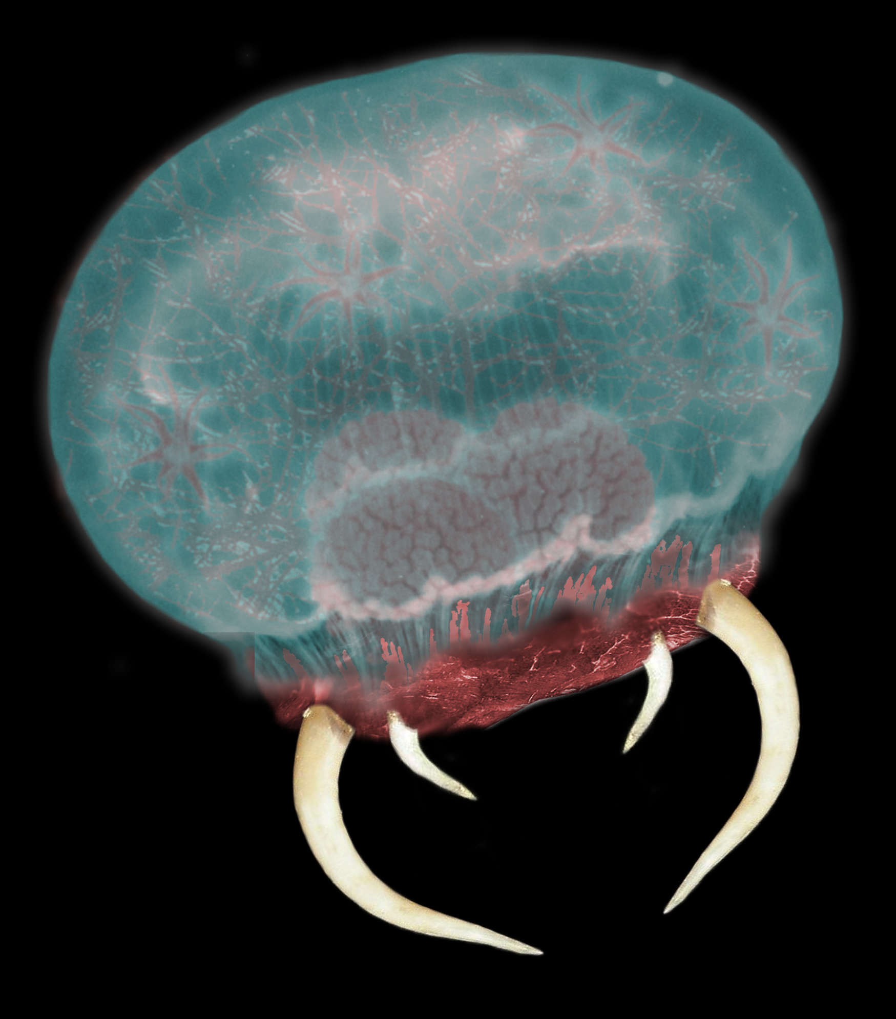 Diseño de Photoshop por zitrodivad para DesignCrowd (Community Contests) | Diseño #9077650