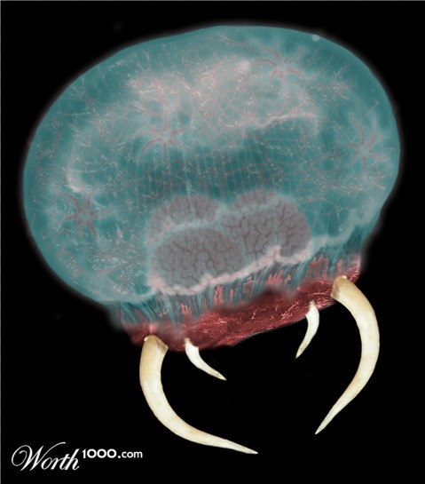 Photoshop Design by zitrodivad