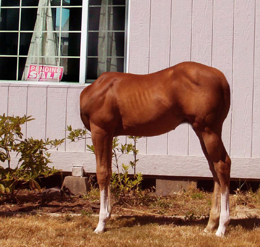 Photoshop Design by praxiz for DesignCrowd (Community Contests) | Design #9077640