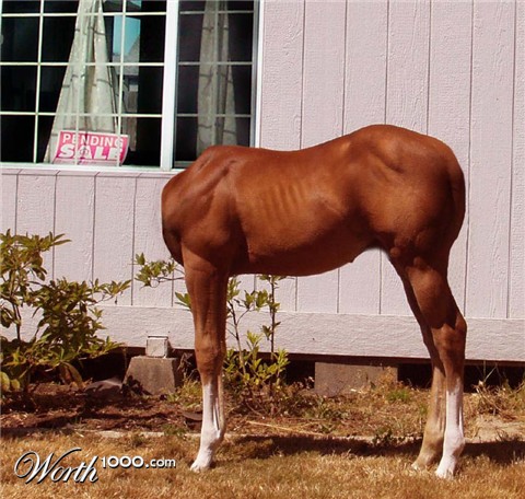 Photoshop Design by praxiz