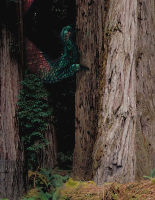 Photoshop Design by gunmetal for DesignCrowd (Community Contests) | Design #9077609