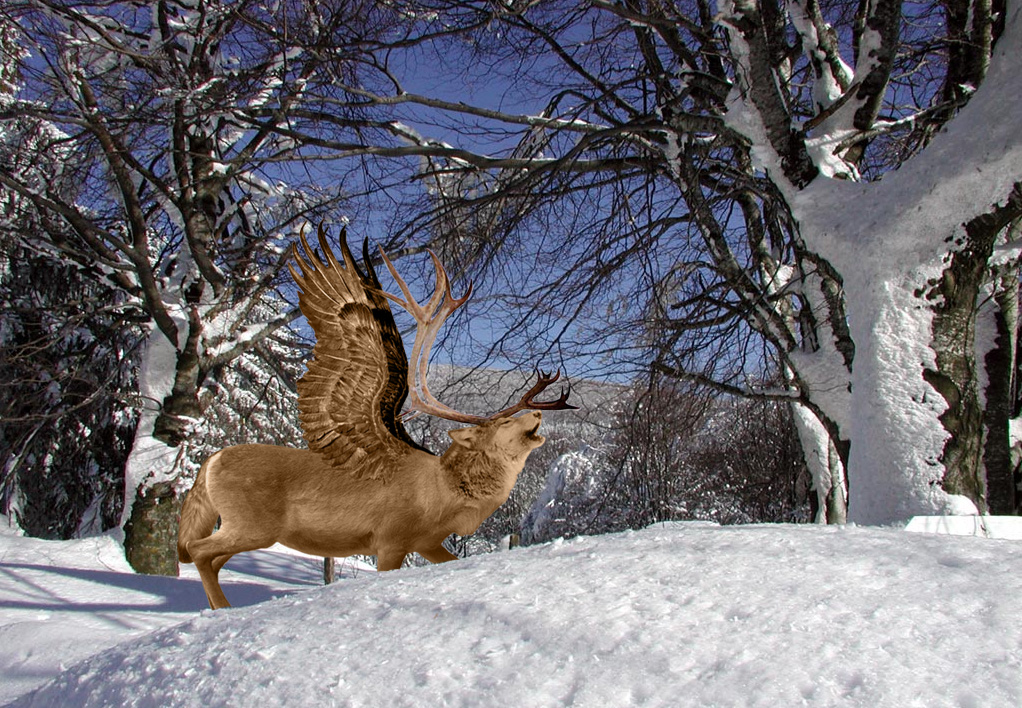 Photoshop-Design von frankenstijn für DesignCrowd (Community Contests) | Design #9077670