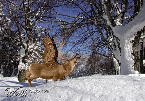 Photoshop Design by frankenstijn