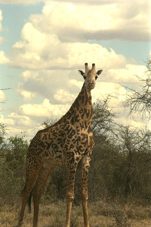 Photoshop-Design von beardo für DesignCrowd (Community Contests) | Design #9077811