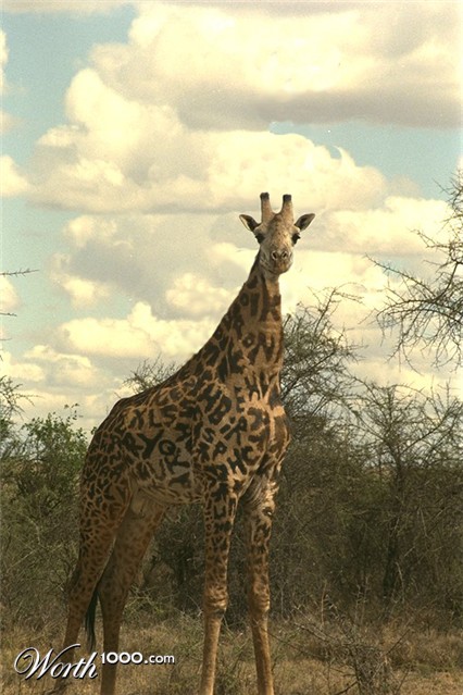 Photoshop Design by beardo