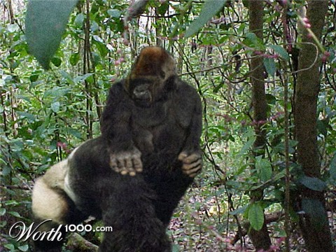 Photoshop Design by Adrune