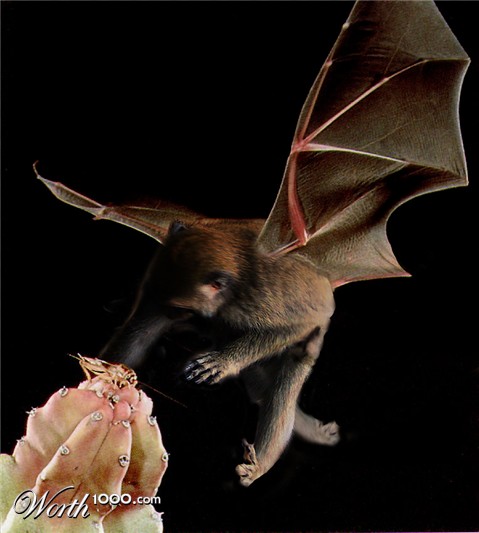 Photoshop Design by bingobaby