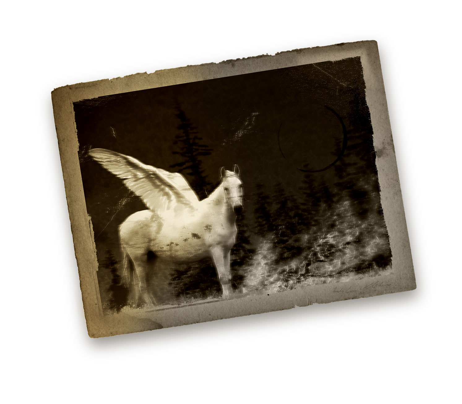 Design Photoshop par MetalEar pour DesignCrowd (Community Contests) | Design #9077695