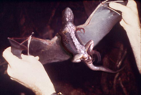 Photoshop Design by drugstore for DesignCrowd (Community Contests) | Design #9077839