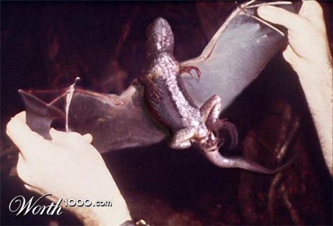 Photoshop Design by drugstore