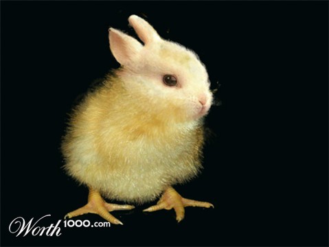 Photoshop Design by msfrigyfrog