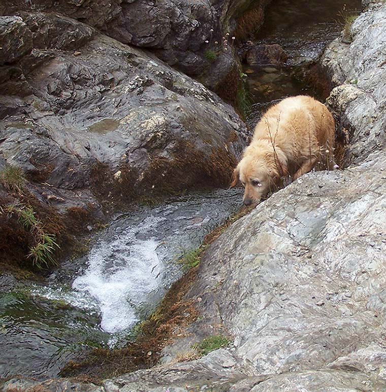 Photographie par TotalDomination pour DesignCrowd (Community Contests) | Design #9072091