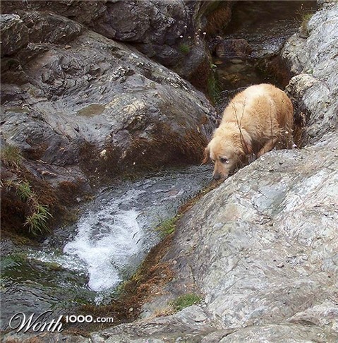 Photography by TotalDomination