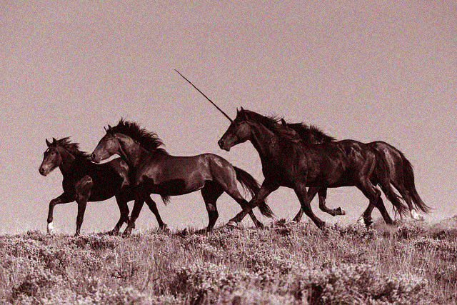 Design Photoshop par redsharkbait pour DesignCrowd (Community Contests) | Design #9077829