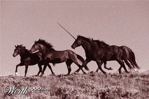 Photoshop Design by redsharkbait