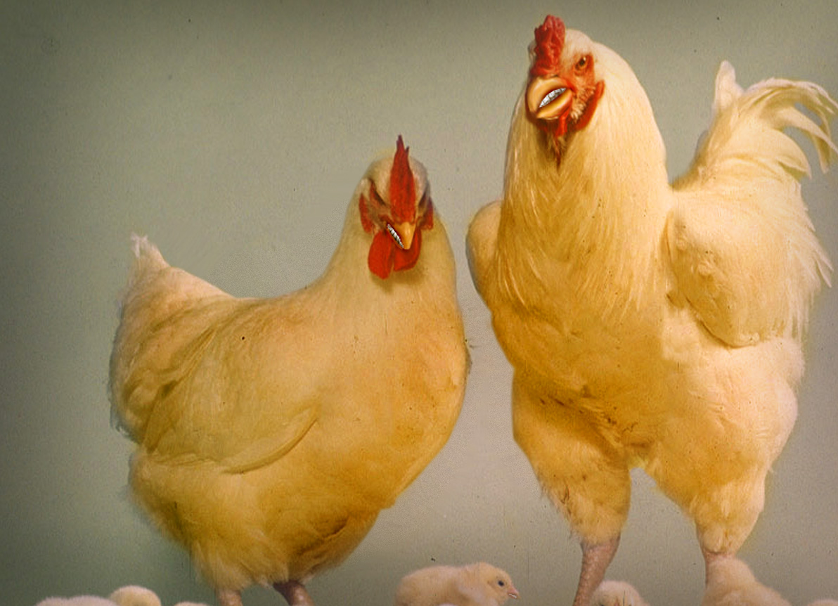 Photoshop Design by fresh2death for DesignCrowd (Community Contests) | Design #9077801