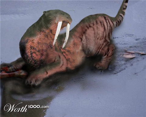 Photoshop Design by nicootje