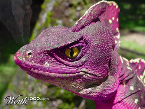 Photoshop Design by BabyMieuw